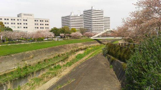 新横浜駅前公園